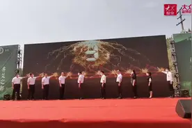 视频｜“小艾草”托起乡村振兴“大产业”图片
