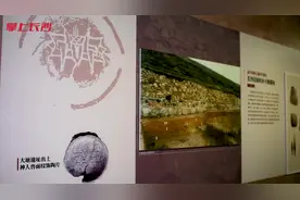 大塘遗址白陶碗底发现七千年前“长沙龙”图片