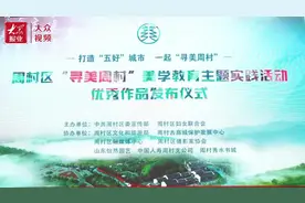 视频｜探索美学与振兴共鸣的“周村路径”图片