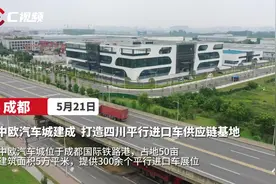 探访省内首个保税车城：中欧汽车城凭什么打造四川平行进口车供应链基地？图片
