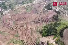 “硕士支书+海归主任”组合，助推淄博“出国劳务村”蝶变图片