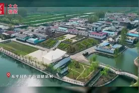 视频丨东平县东平街道打好生态牌图片