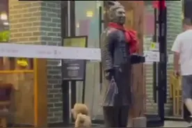 饭店不让宠物进，主人把狗狗拴到秦俑手上，网友：穿越千年的狗狗图片