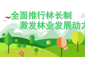 文山新闻完整版 2022/06/16视频封面