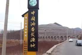 新泰市青云街道外峪村用一棵树“种”出一个产业图片