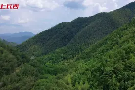 丛林越野，山地摩托“热”起来图片