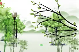 发现古树名木之美④丨浏阳小河乡千年罗汉松图片