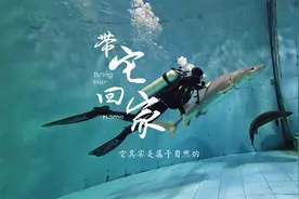 保护长江，盼它回家：这条鱼来自1.4亿年以前图片