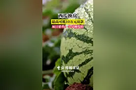 西瓜换房最高可抵10万房款 项目销售：今早刚发的图片