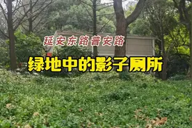 绿地中的公共厕所，莫成“影子厕所”图片