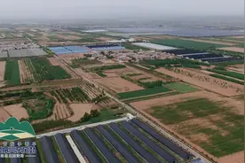 采访团走进渭南市合阳县 看特色农业、农文旅融合等奏响合阳乡村振兴高质量发展“奋进曲”视频封面