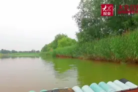 打造乡村旅游模范村，“绿水青山”让常家镇人鼓起“钱袋子”图片