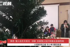 萤火虫冬天也能发光 仿真萤火虫灯和香水浪漫亮相图片