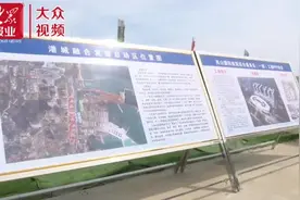 岚山：“谋、推、助”发力项目建设视频封面