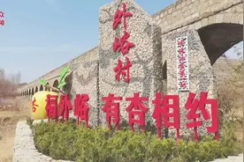 视频｜小山村成了“珍珠油杏第一村”图片