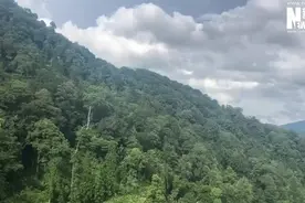 探访深山虎园——走进福建梅花山华南虎繁育研究所图片
