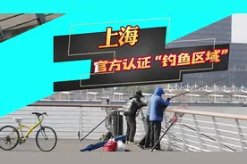 官方认证“钓鱼区域”？就在黄浦江边！爷叔：很火爆 周末要抢位置图片