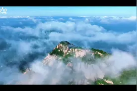 全国生态日|追青逐绿 看山东绘就人与自然和谐共生的新画卷图片