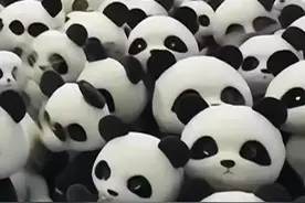 归来仍是顶流！中国网友花式欢迎“丫丫”回家图片