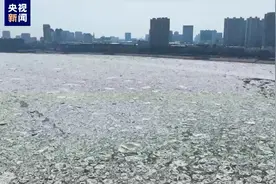 快来看跑冰排！松花江佳木斯段开江了图片