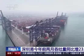 同比增23.5%！深圳港今年前两月吞吐量达483万标箱图片