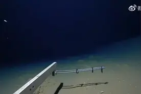 日本8336米深海发现怪鱼：或为最深海域的鱼类，离水融成“啫喱状”图片