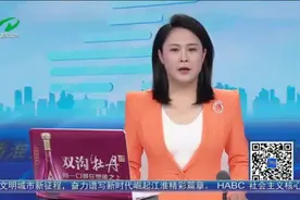 京沪高速公路淮安段：货车超载率达122.36% 民警一眼识破图片
