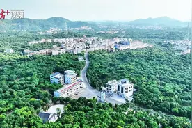 美“荔”绽放柏桥村｜报告文学图片