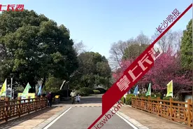 春日暖阳下的鸟语花香，吸引众多市民驻足观赏图片