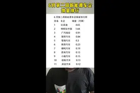 解读6月第二周新能源车企销量排行图片
