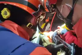 按下按钮可救命！携童出行 扶梯的这个细节须注意图片