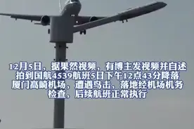 国航一飞机降落时撞到鸟群！遇到了鸟击该怎么办？图片