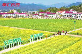 航拍丨油菜花田春色撩人，共赴一场与春天的约会！图片