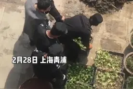 网传82岁老人自家院子种菜被全部清理，街镇回应：系公共地块，整治前已告知图片