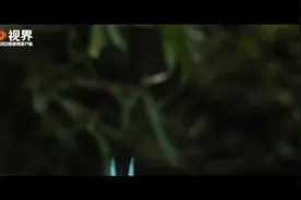 万物皆可爱！看生物王国里的欢乐派对图片