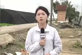 韩国瓜农说今年的西瓜白种了，都是暴雨惹的祸图片