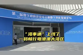 “湾事通”粤港澳多端同步上线，一站式搞定大湾区跨境服务图片