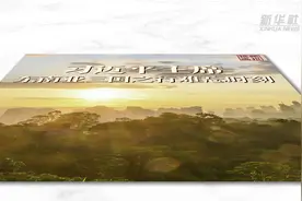 视频画报｜习近平主席东南亚三国之行难忘时刻图片