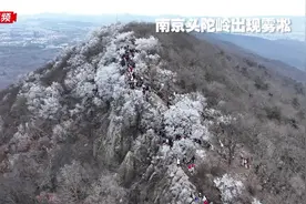 南京紫金山头陀岭出现雾凇奇观图片