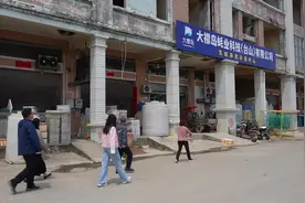 这个蚝农有点“笨”图片