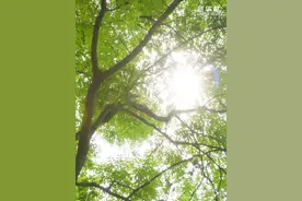 创意微视频｜开学了，总书记送你一份“成长手册”图片