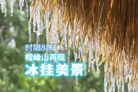 广州从化录得最低-4.3℃！广东今起缓慢回温，但还是冷冷冷图片