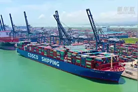 “湾区之心”向实而行——广州南沙协同港澳推进大湾区建设一年记图片