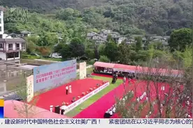 灌阳县举办 2023 年桂林灌阳“六月六”尝新节暨雪梨黑李节图片