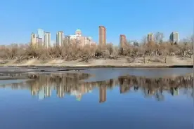 数不清到底多少鸭……冰城迎来“报春鸭”北归迁徙高峰图片