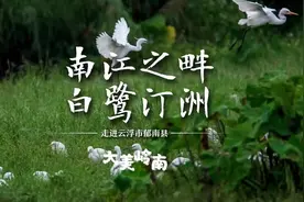 视频·大美岭南图片