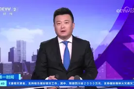 广东徐闻：35万亩菠萝采收 种植户瞄准海外市场图片