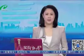 男子着急上班“抢”黄灯通行引发两车相撞 车损近万元负全责图片