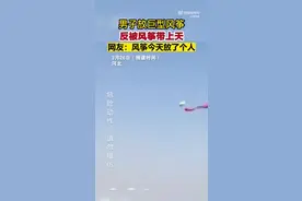 请勿模仿！男子放巨型风筝反被带上天图片