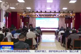 桂林市社会福利医院：开展青少年人际治疗培训 提升心理治疗技能图片